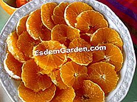 Salad jeruk dan biskut - (dengan) Susun kepingan dalam pinggan