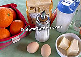 Salad jeruk dan biskut - (oren) Salad jeruk: bahan-bahan