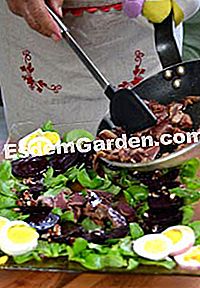 Ensalada de verdolaga y remolacha con mollejas de pato en conserva - (ensalada) Guarnición de placa
