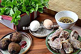 Purslane dan salad bit dengan gizzards ternakan yang dipelihara - (gizzards) Purslane dan salad betterace - Bahan-bahan