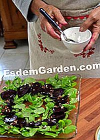 Purslane dan salad bit dengan gizzards ternakan yang dipelihara - (salad) Menambah vinaigrette