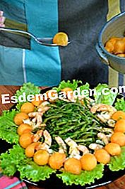 Ensalada de camarones con melón - (ensalada) Ensalada de camarones con melón: camarón