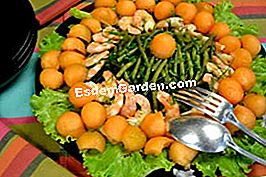 Ensalada de camarones con melón - (minutos) Ensalada de camarones con melón: minutos