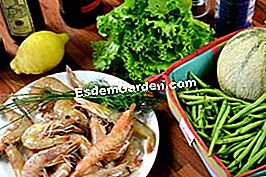 Ensalada de camarones con melón - (camarones) Ensalada de camarones con melón: minutos