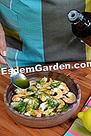 Ensalada de camarones con melón - (melón) Ensalada de camarones con melón: ensalada