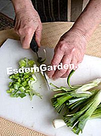 Små kurve med porrer og tunger - (tunger) hakse porrerne