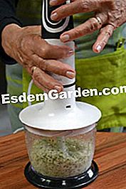 Kleiner weißer Fisch gefüllt - (kleiner) Vermischung