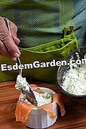 Kleiner weißer Fisch gefüllt - (weißer) Füllung Ramekins
