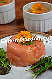 Lille hvide fisk fyldte - (hvide) Lille fyldt med hvid fisk