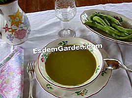 Bønnesuppe - (skinke) Forårsuppe med bønne på hans tallerken