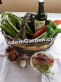 Bønnesuppe - (eller) Ingredienser af bønnesuppe