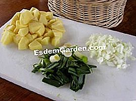 Zuppa di germogli di ortica - (ortica) patata, cipolla, porro