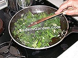 Zuppa di germogli di ortica - (zuppa) Foglie di cipolla e ortica