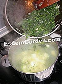 Zuppa di germogli di ortica - (germogli) Sobbollire la zuppa di ortiche