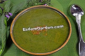 Sopa de hierbas - (algunas) Plato de sopa de hierbas