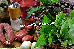 Sopa de hierbas - (minutos) ingredientes