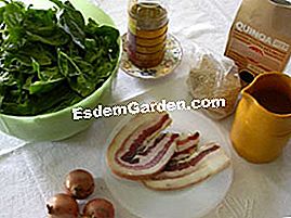 Spinaci con quinoa - (cipolle) Ingredienti per spinaci con quinoa