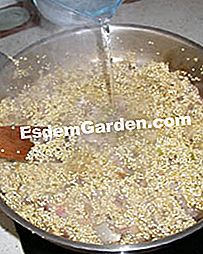 Spinaci con quinoa - (quinoa) Aggiunta di semi e acqua
