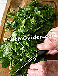 Spinaci con quinoa - (acqua) Tagliare le foglie di spinaci