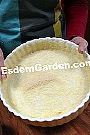 Genoise dengan clementines - (dengan) Mould miss coated