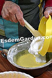 Genoise dengan clementines - (clementines) Menambah putih ke salji