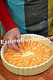 Genoise dengan clementines - (genoise) Pemasangan bahagian bawah rata Clementine