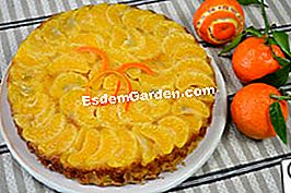 Genoise dengan clementines - (minit) Genoise dengan clementines: bersedia untuk rasa