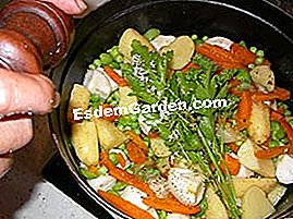 Guiso de verduras jóvenes - (jóvenes) Ramo adornado y cocina