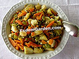 Guiso de verduras jóvenes - (minutos) Guiso de verduras jóvenes en su plato