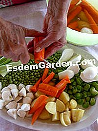 Guiso de verduras jóvenes - (jóvenes) Cortar verduras