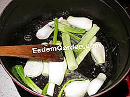 Guiso de verduras jóvenes - (manojo) Sudor cebollas