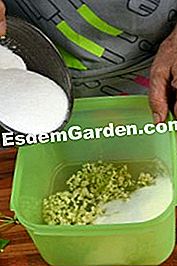 Sirap Elderberry - (dalam) Tambah gula