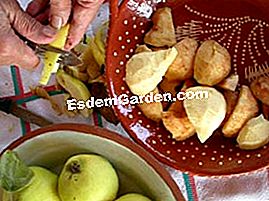 Lamb tajine dengan quince - (dengan) mengupas quinces