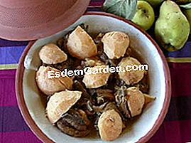 Lamb tajine dengan quince - (tajine) berkhidmat dengan baik panas