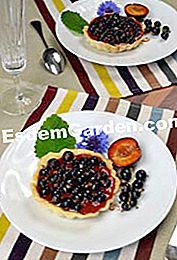 Tartellette di ribes nero - (ribes) Tartellette di ribes nero
