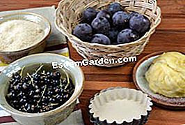 Tartellette di ribes nero - (tartellette) ingredienti