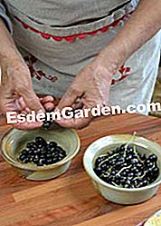Tartellette di ribes nero - (tartellette) Tartellette di ribes nero: nero