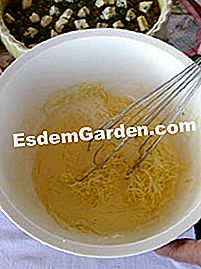 Pai dengan kismis dan 2 keju - (garam) persediaan peranti