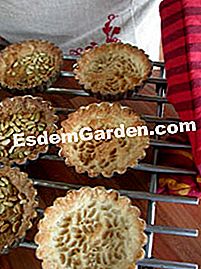 Tartlet dengan buah-buahan kering - (tartlet) meniup tart