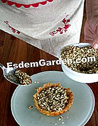 Tartlet dengan buah-buahan kering - (tartlet) Hiaskan dengan buah-buahan kering yang dicincang