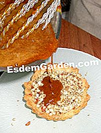 Tartlet dengan buah-buahan kering - (kering) Kami menutupi tartlets dengan krim madu
