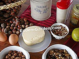 Tartlet dengan buah-buahan kering - (buah-buahan) Tartlet dengan buah-buahan kering: bahan-bahan