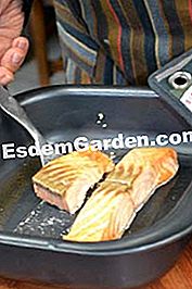 Salmon endif dan salmon - (salmon) Salmon memasak