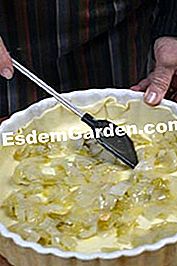 Salmon endif dan salmon - (dalam) Pengisian pastri