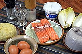 Salmon endif dan salmon - (minit) bahan-bahan