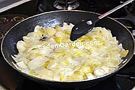 Salmon endif dan salmon - (dalam) Memasak endives