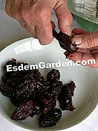 Tuang prune - (prun) Melemparkan prun