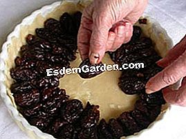 Tuang prune - (100g) Susunan prun pada doh