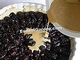 Tuang prune - (100g) Menuangkan campuran pada buah-buahan