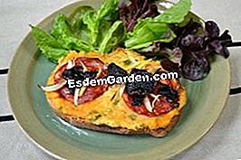 Tartines con crema de frijoles secos - (tartines) Tartines con crema de frijoles secos